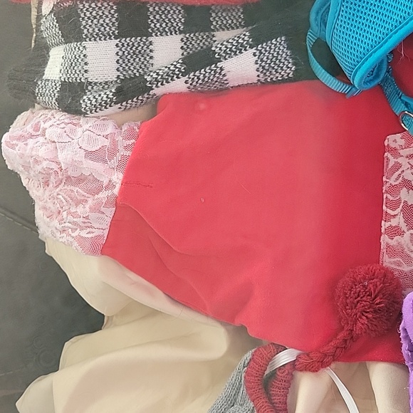 Small dog bundle - Picture 5 of 6